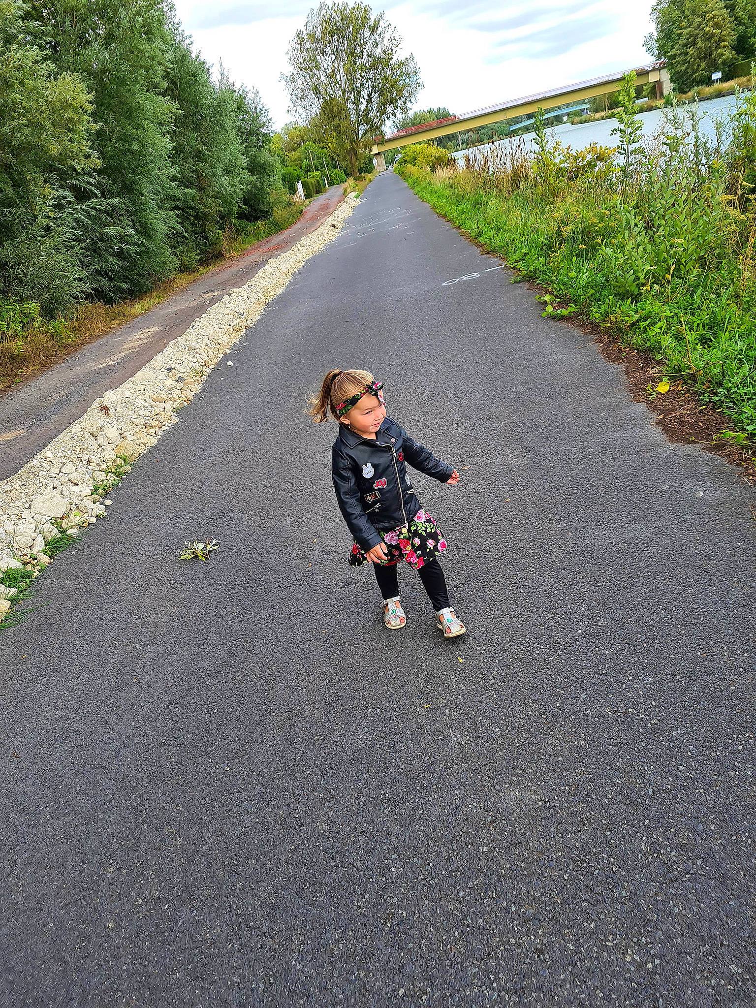 Summer participe au concours pour gagner de l'argent avec cette photo : asphalt, canidae, headwear, person, photography, recreation, road, rolling, vehicle