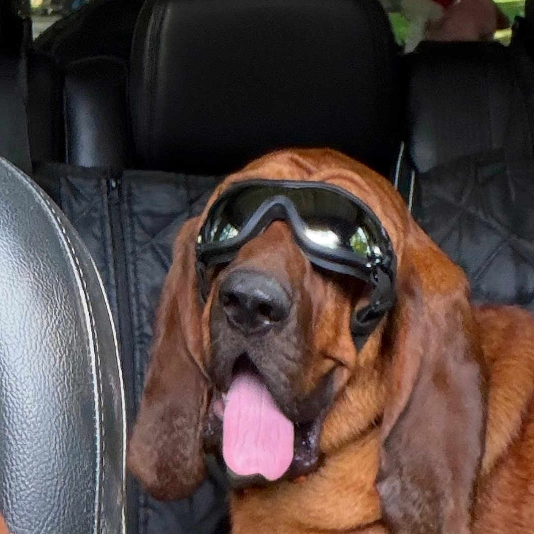 Otis