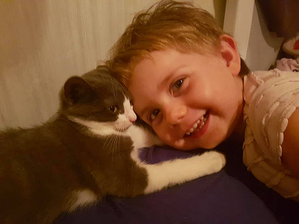 Violette participe au concours pour gagner de l'argent avec cette photo : baby, carnivore, cat, cheek, child, domestic_short_haired_cat, ear, eye, face, felidae, fur, head, iris, joy, mouth, nose, organ, person, skin, small_to_medium_sized_cats