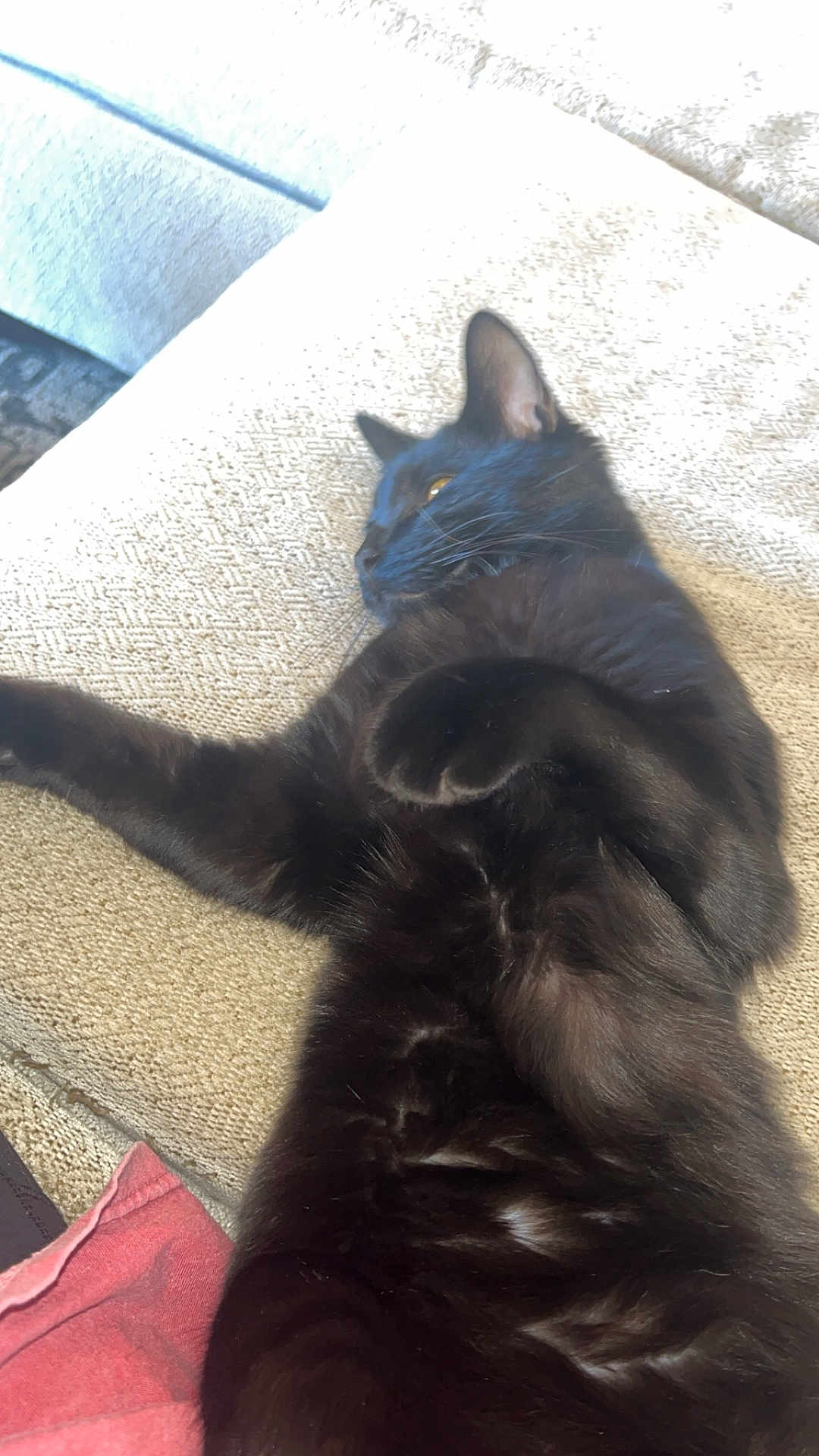 Pete