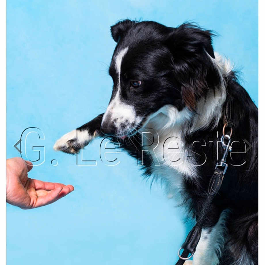 Schupa