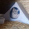 cat, cat_house, hay, barn, animal, feline, curious, indoor, pet, cozy, triangular, resting, looking, gray_cat, fur, ears, whiskers, container, rustic, light