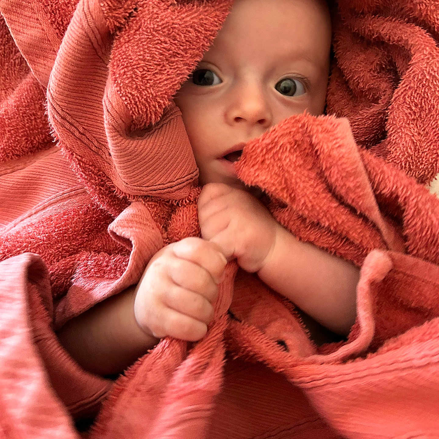 Enzo a rejoint le concours — aidez-le/la à gagner de superbes lots ! baby, child, closeup, comfort, coral_color, cozy, cuddly, cute, expression, face, hands, infant, newborn, portrait, skin, soft_texture, towel, warm, wide_eyes, wrapped