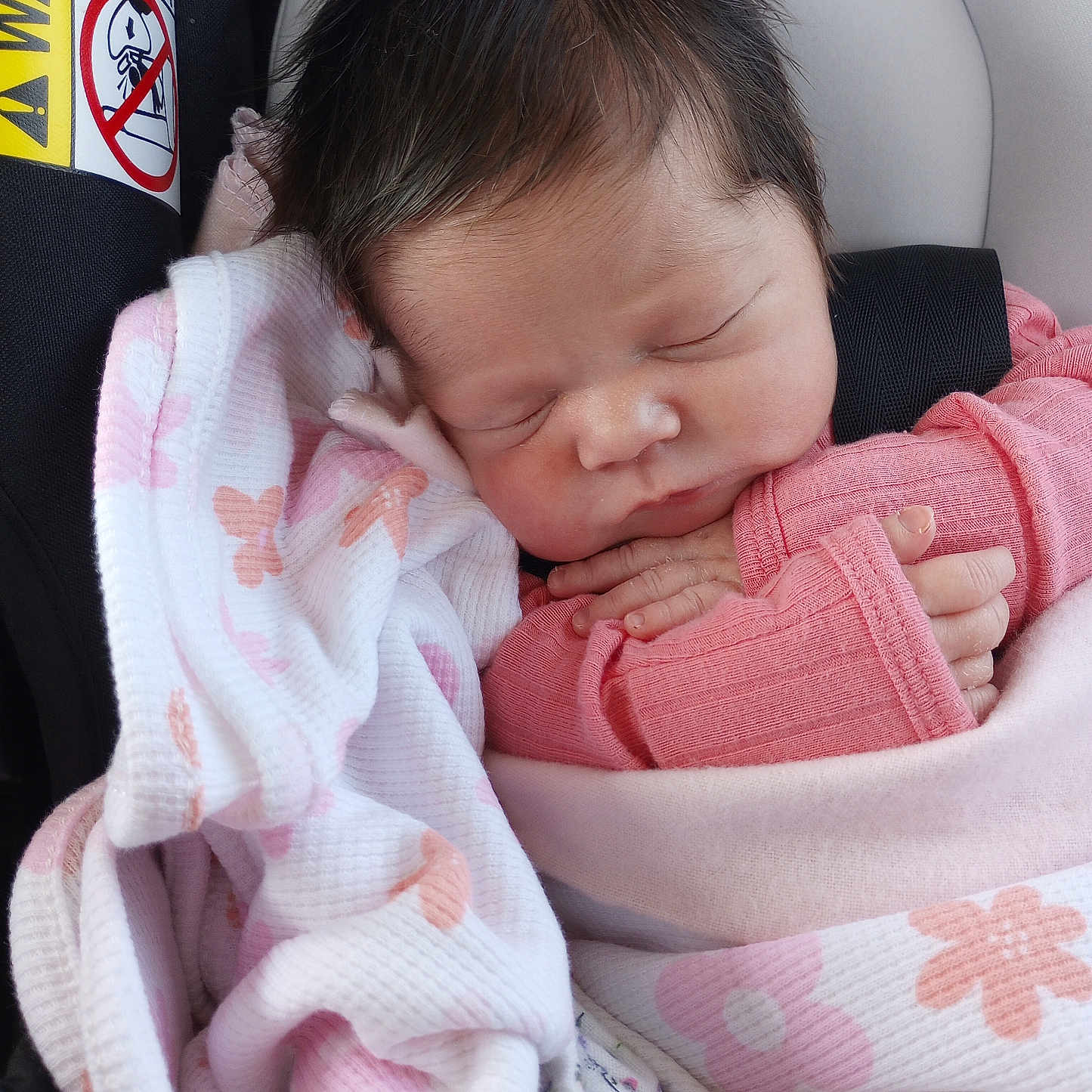 Autumn Breeze is registered to the contest to win money with this photo: baby, blanket, car_seat, child, closeup, cute, face, hair, hand, indoors, infant, newborn, peaceful, pink_clothing, portrait, resting, safety_label, sleeping, soft_texture, wrapped