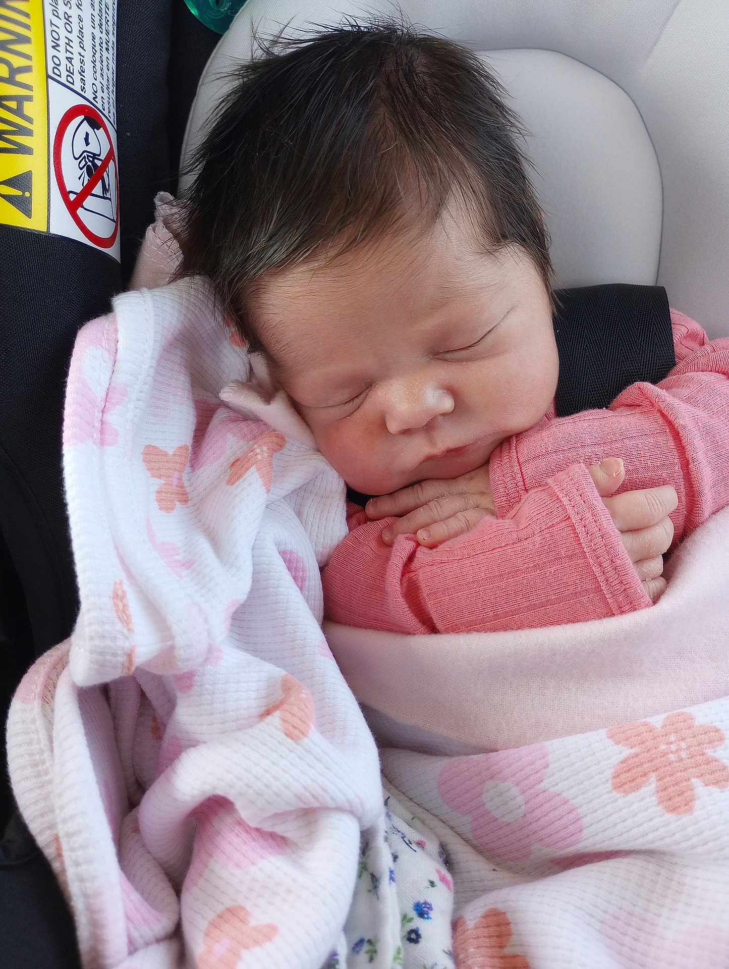 Autumn Breeze is registered to the contest to win money with this photo: newborn, baby, sleeping, blanket, pink_clothing, car_seat, infant, face, hand, hair, safety_label, soft_texture, cute, child, resting, indoors, closeup, peaceful, wrapped, portrait