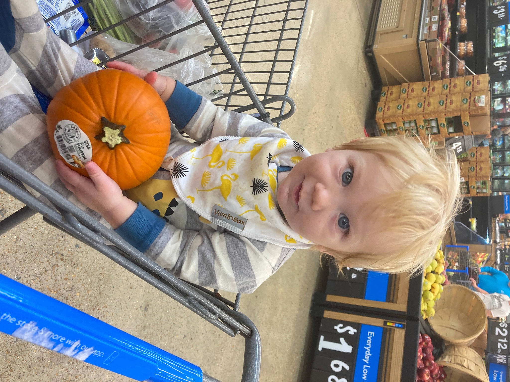 Leroy is registered to the contest to win money with this photo: baby, blue, calabaza, child, city, electric_blue, eye, fun, leisure, orange, person, plant, pumpkin, recreation, service, smile, t_shirt, toddler, tree, vacation