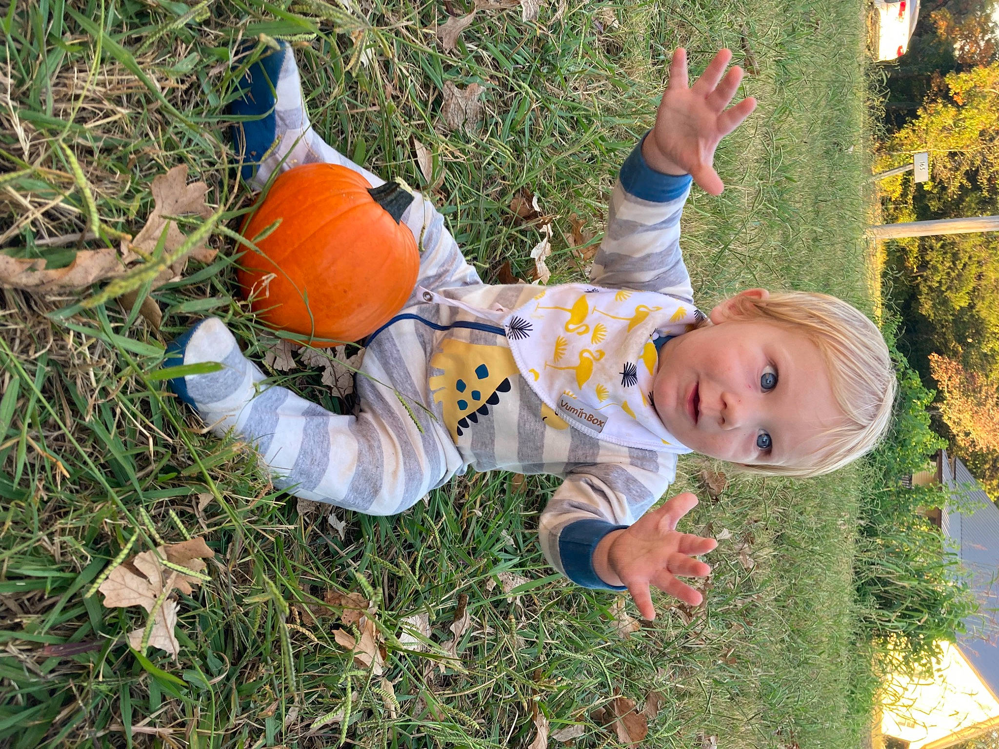 Leroy joined the competition — help win amazing prizes! baby, baby_toddler_clothing, ball, child, deciduous, fun, grass, grass_family, happy, human_body, lawn, leisure, people_in_nature, person, plant, play, recreation, sitting, smile, toddler