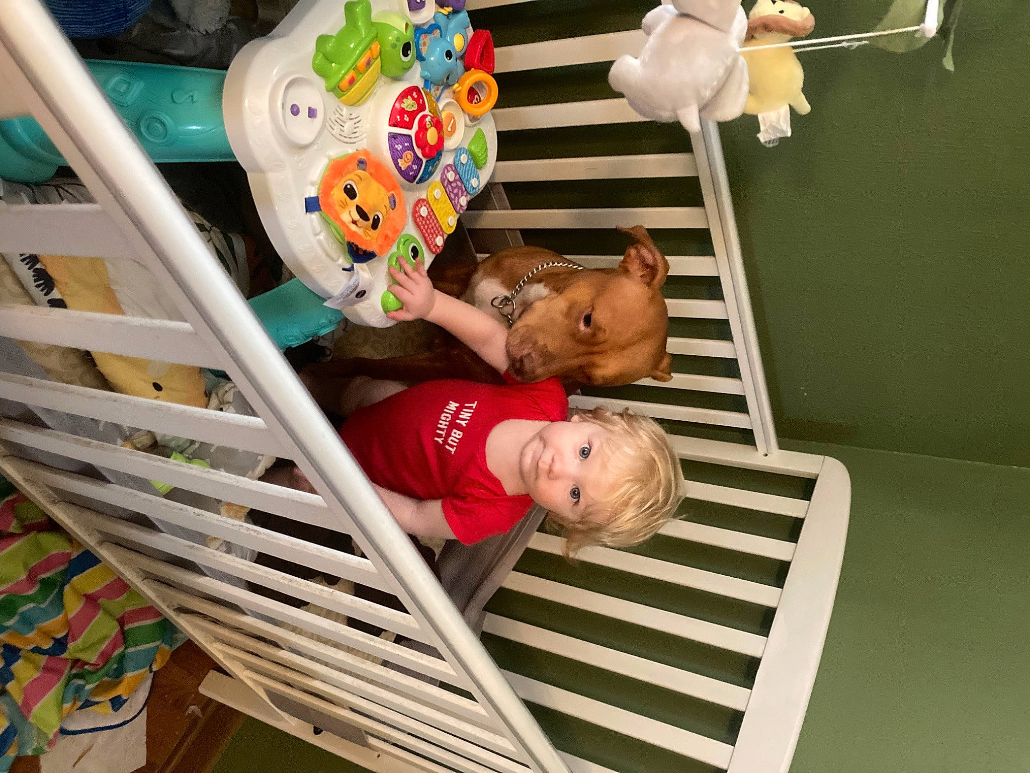 Leroy joined the competition — help win amazing prizes! baby, baby_products, baby_toddler_clothing, child, comfort, fun, happy, hardwood, leisure, pattern, person, play, room, shelf, shelving, t_shirt, toddler, toy, wood