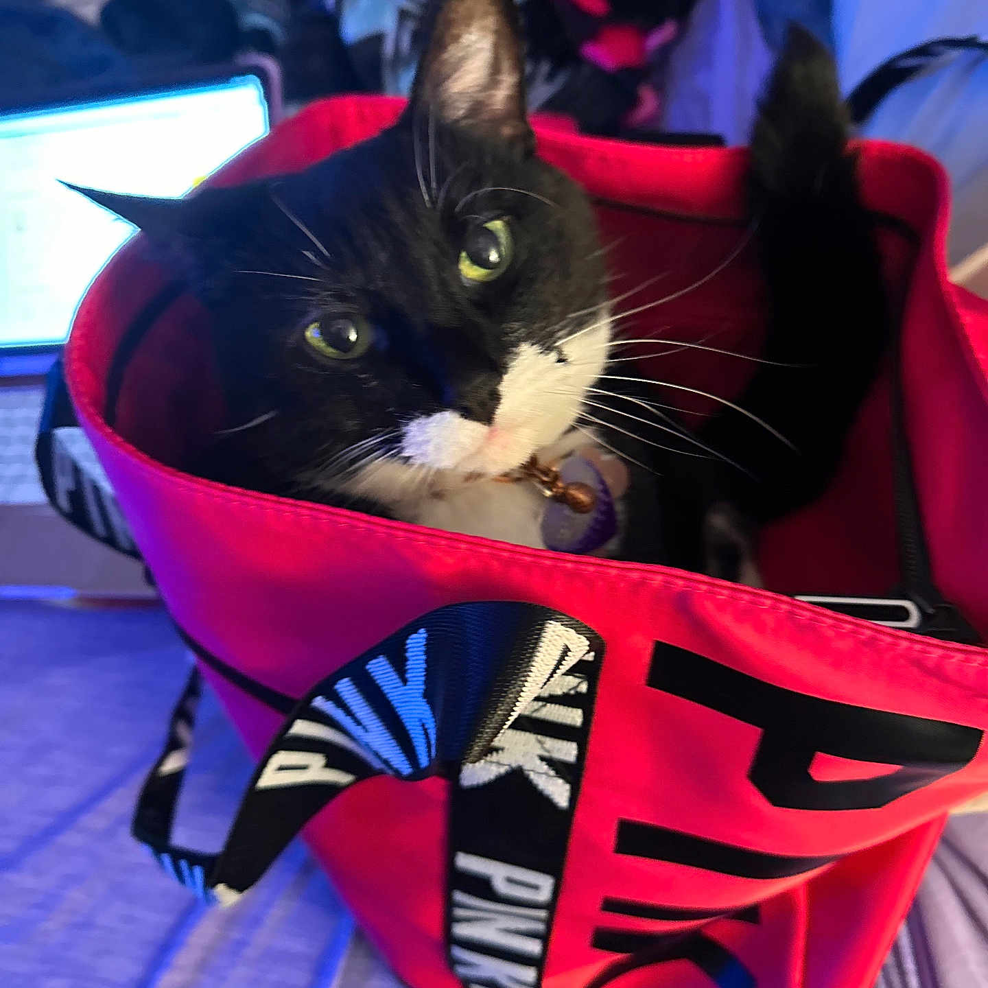 Mittens