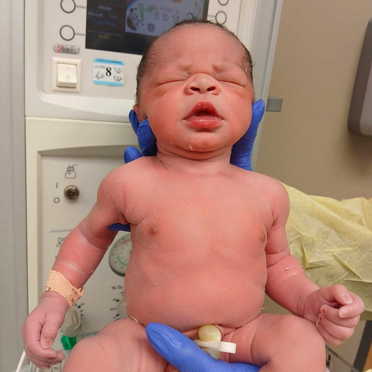 Mayan Paul Johnson joined the competition — help win amazing prizes! newborn, baby, infant, child, hospital, medical_equipment, gloves, blue_gloves, hospital_bed, monitor, newborn_care, umbilical_clamp, hospital_room, portrait, sitting, sleeping, eyes_closed, skin, medical_setting, photography