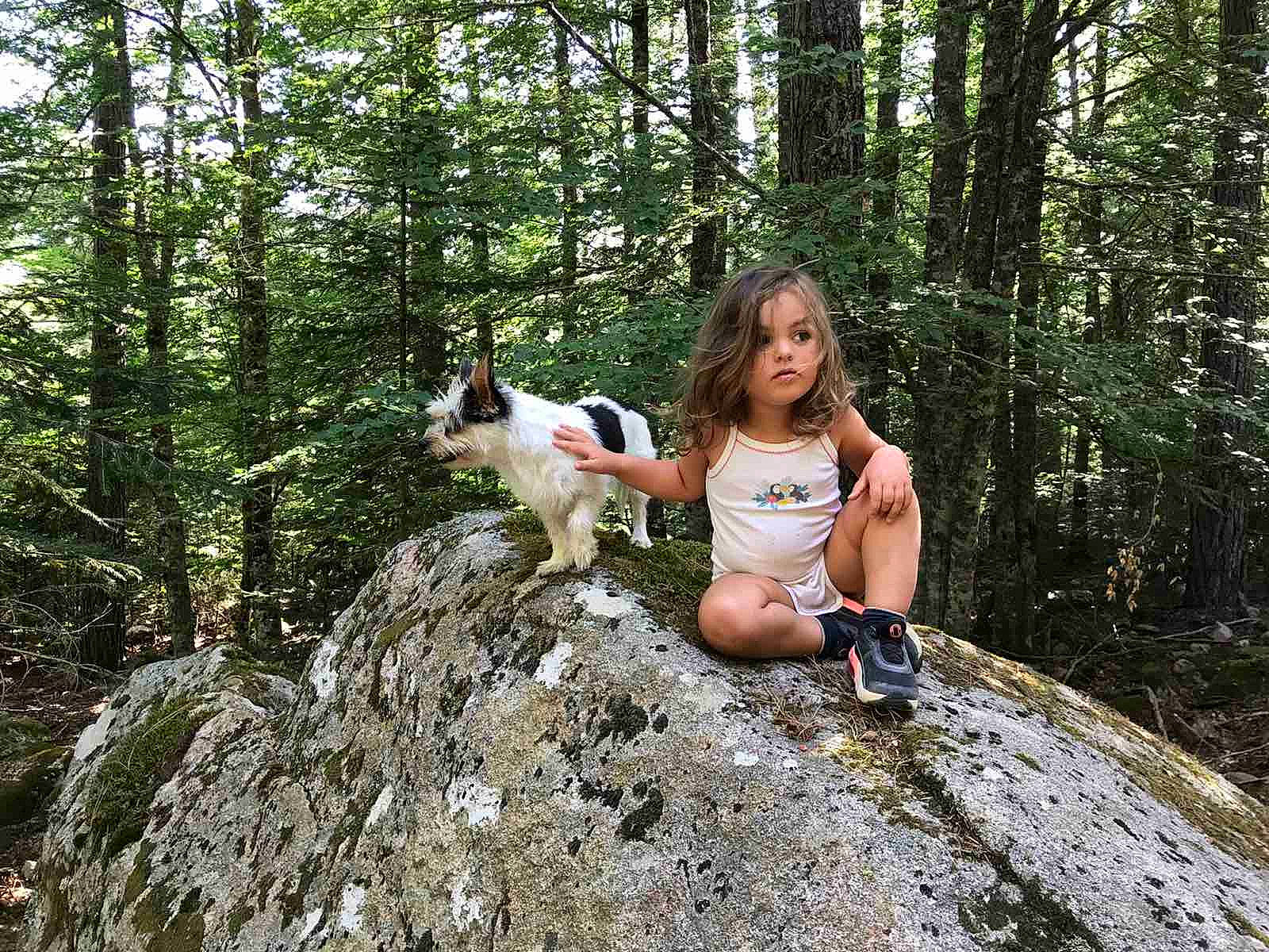Melania participe au concours pour gagner de l'argent avec cette photo : adventure, carnivore, companion_dog, dog, ecoregion, fawn, forest, grass, grove, jungle, leisure, people_in_nature, person, plant, recreation, temperate_broadleaf_and_mixed_forest, thigh, tree, trunk, wood