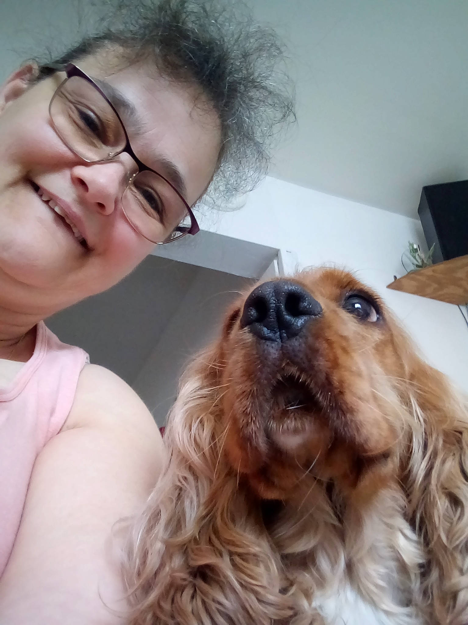 Praline participe au concours pour gagner de l'argent avec cette photo : carnivore, companion_dog, dog, dog_breed, ear, eyewear, face, fawn, glasses, happy, jaw, liver, nose, selfie, skin, smile, sunglasses, vision_care, whiskers, working_animal