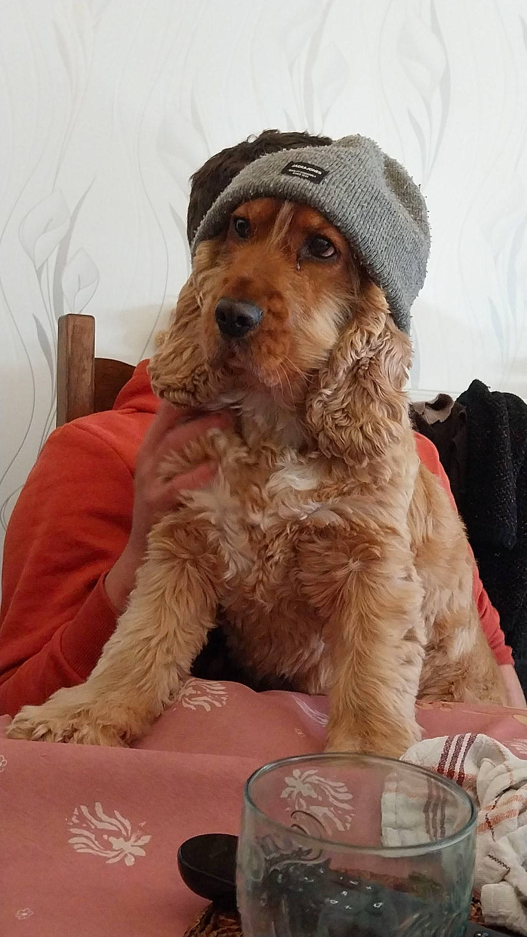 Praline