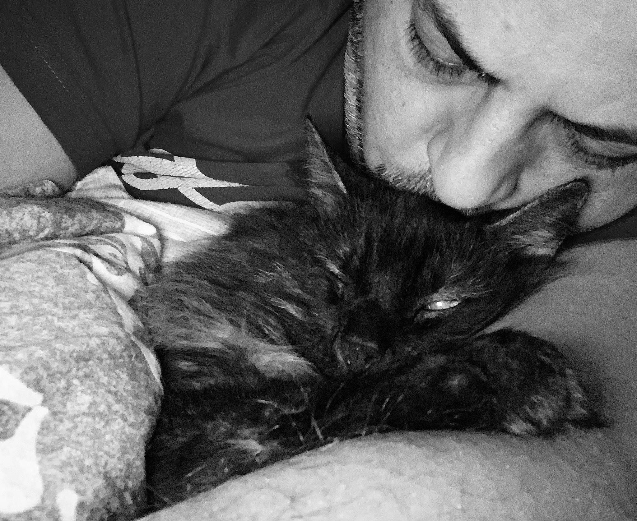 Salem participe au concours pour gagner de l'argent avec cette photo : asian, black_and_white, carnivore, cat, domestic_short_haired_cat, ear, eye, felidae, fur, hug, interaction, kitten, monochrome, monochrome_photography, nap, photography, sleep, small_to_medium_sized_cats, style, whiskers