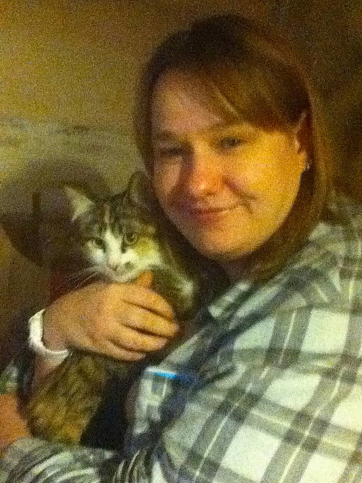 Canaille participe au concours pour gagner de l'argent avec cette photo : art, carnivore, cat, domestic_short_haired_cat, fawn, felidae, fur, gesture, hug, iris, jaw, moustache, nose, painting, pattern, plaid, small_to_medium_sized_cats, smile, tartan, whiskers