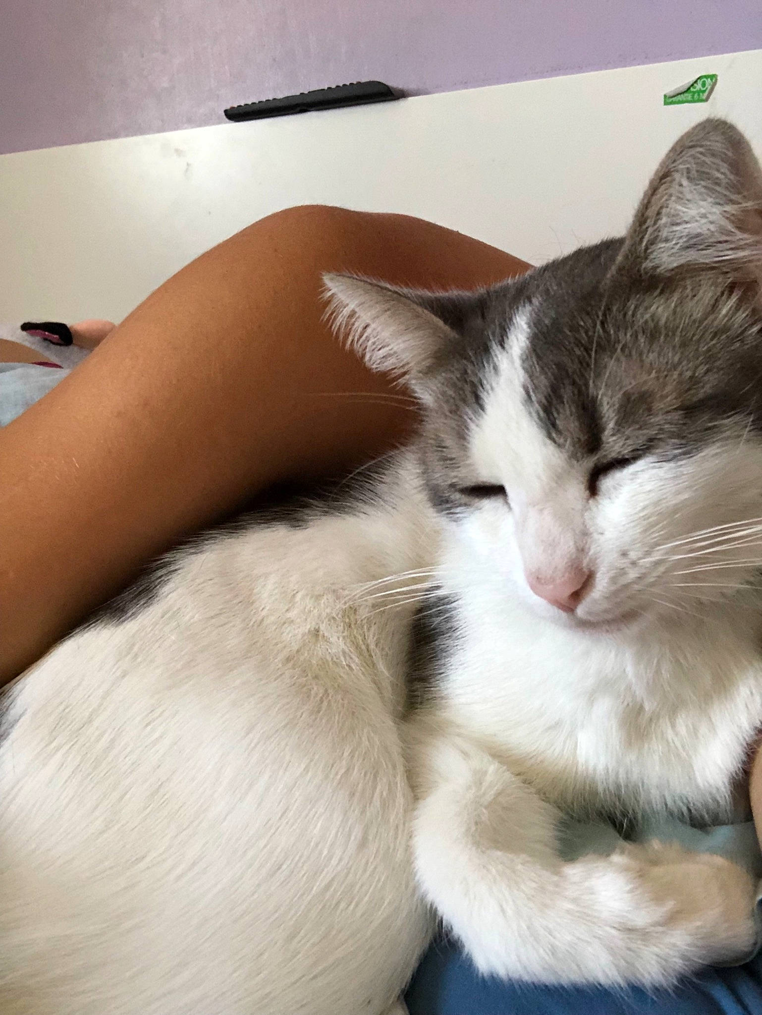 Keurley a rejoint le concours — aidez-le/la à gagner de superbes lots !