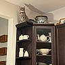 Gracie joined the competition — help win amazing prizes! animal_shadow, cat, ceramic_jars, decorative_jars, domestic_cat, feline, gray_tabby, home, indoor, kitchen, kitchen_cabinet, perched_cat, quiet, rustic_decor, shadow, shelf, sitting, still_life, teapot, wall