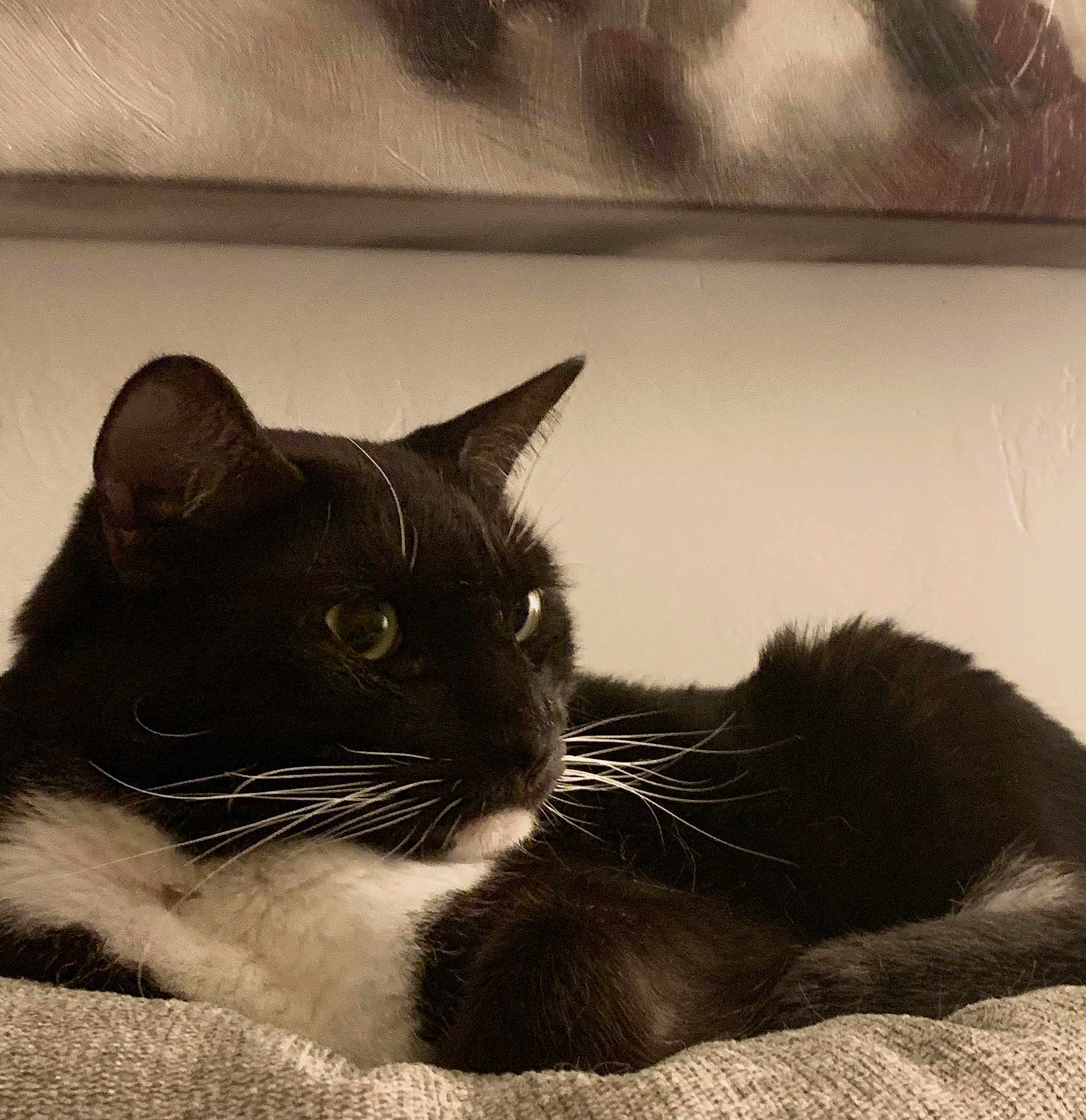 Charlie