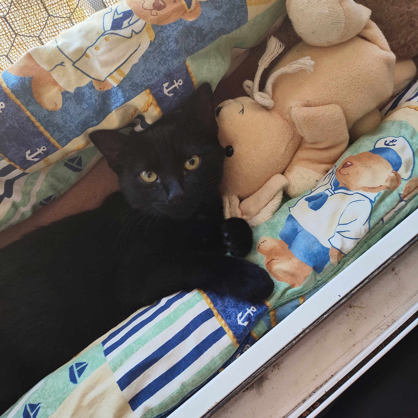 Mimi