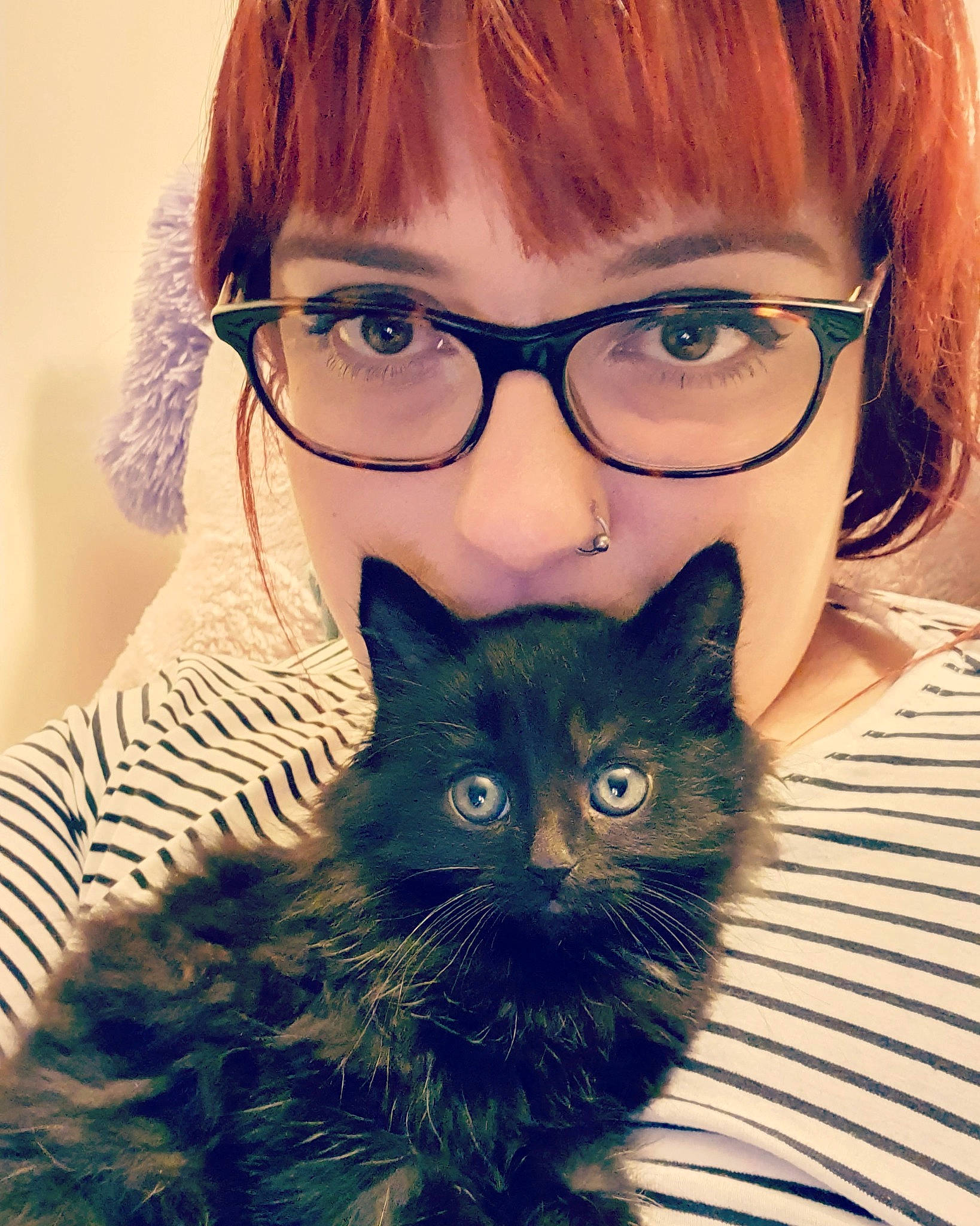 Eleven joined the competition — help win amazing prizes! blond, brown_hair, carnivore, cat, cool, eye, eyewear, felidae, fur, glasses, hair, hairstyle, kitten, long_hair, moustache, nose, selfie, small_to_medium_sized_cats, snout, whiskers