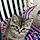 Tigger