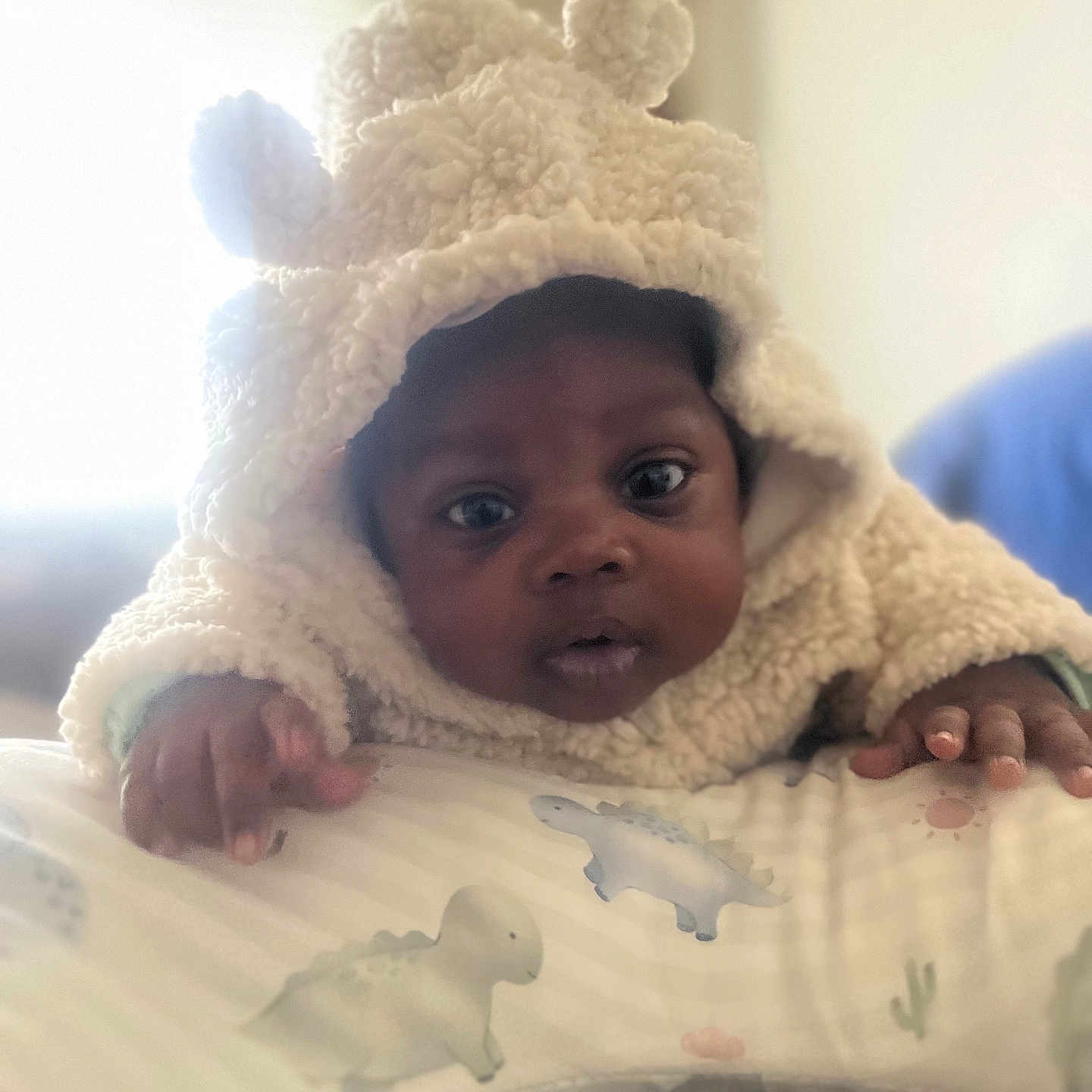 Topaz Webb joined the competition — help win amazing prizes! baby, child, cozy, curious, cute, dinosaur_pattern, expression, face, fluffy, hand, hoodie, indoor, infant, lying_down, pillow, portrait, soft_lighting, warm_clothing, wide_eyes, young