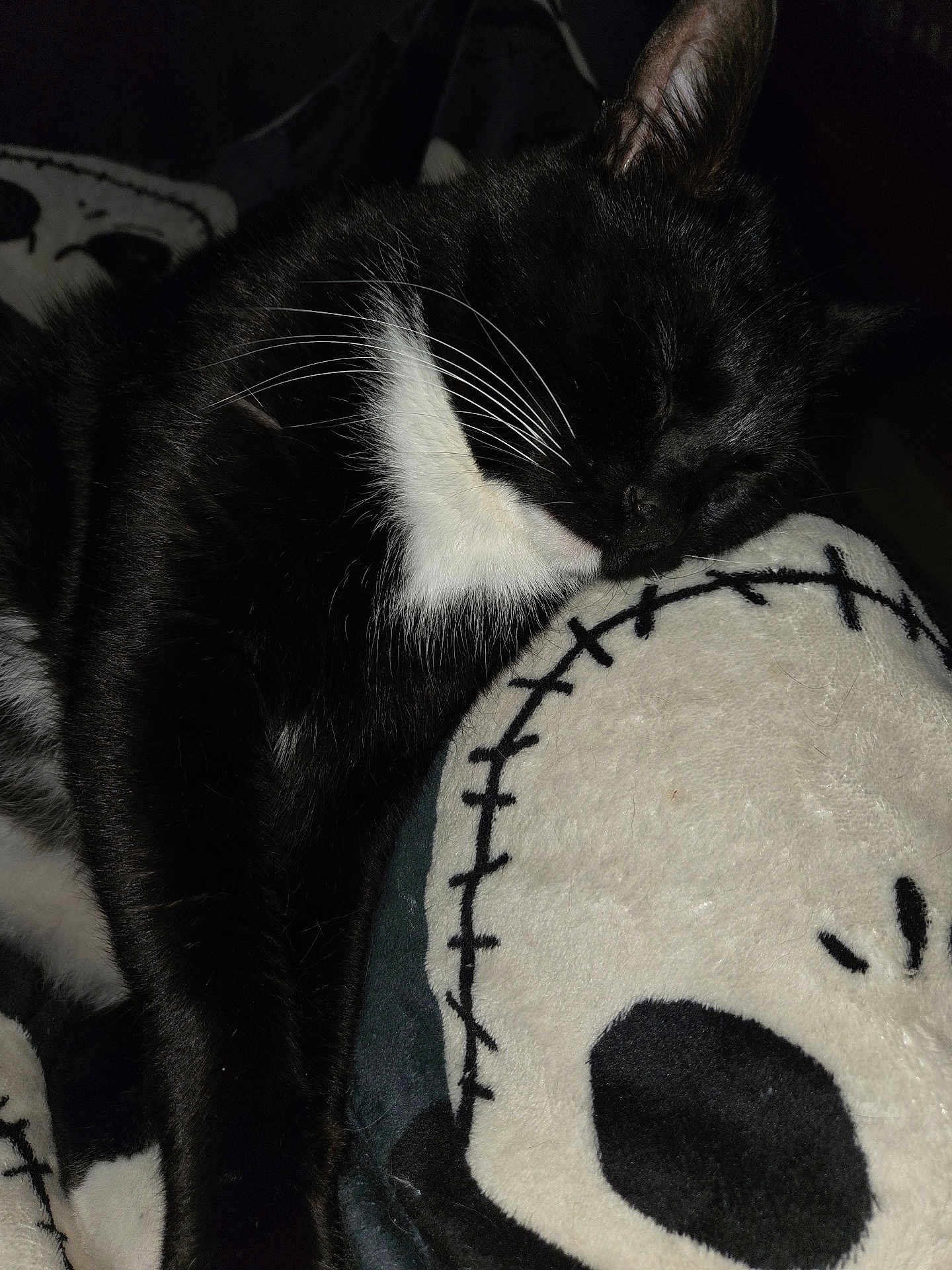 Tuxedo