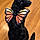 Ember