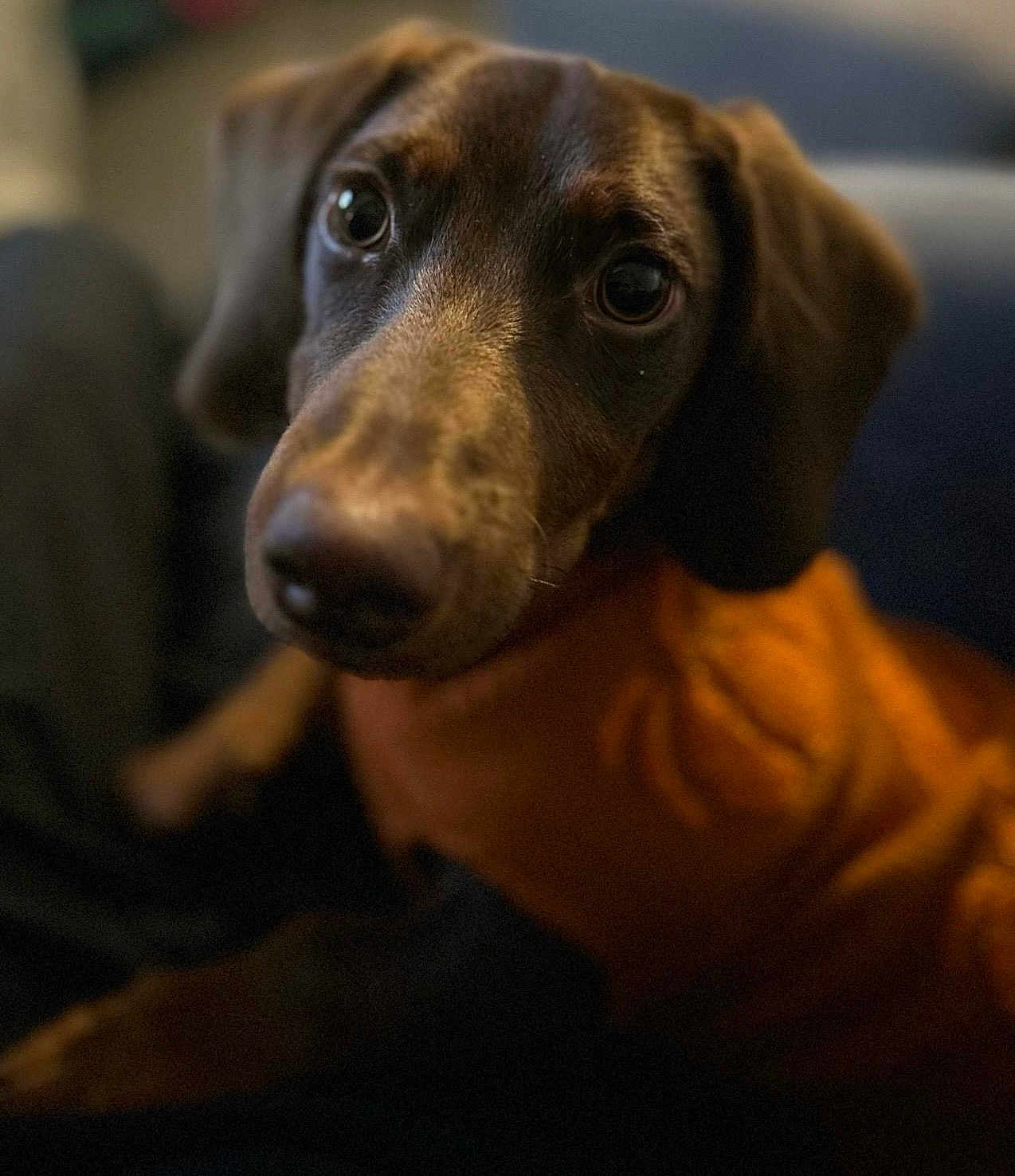 Spencer