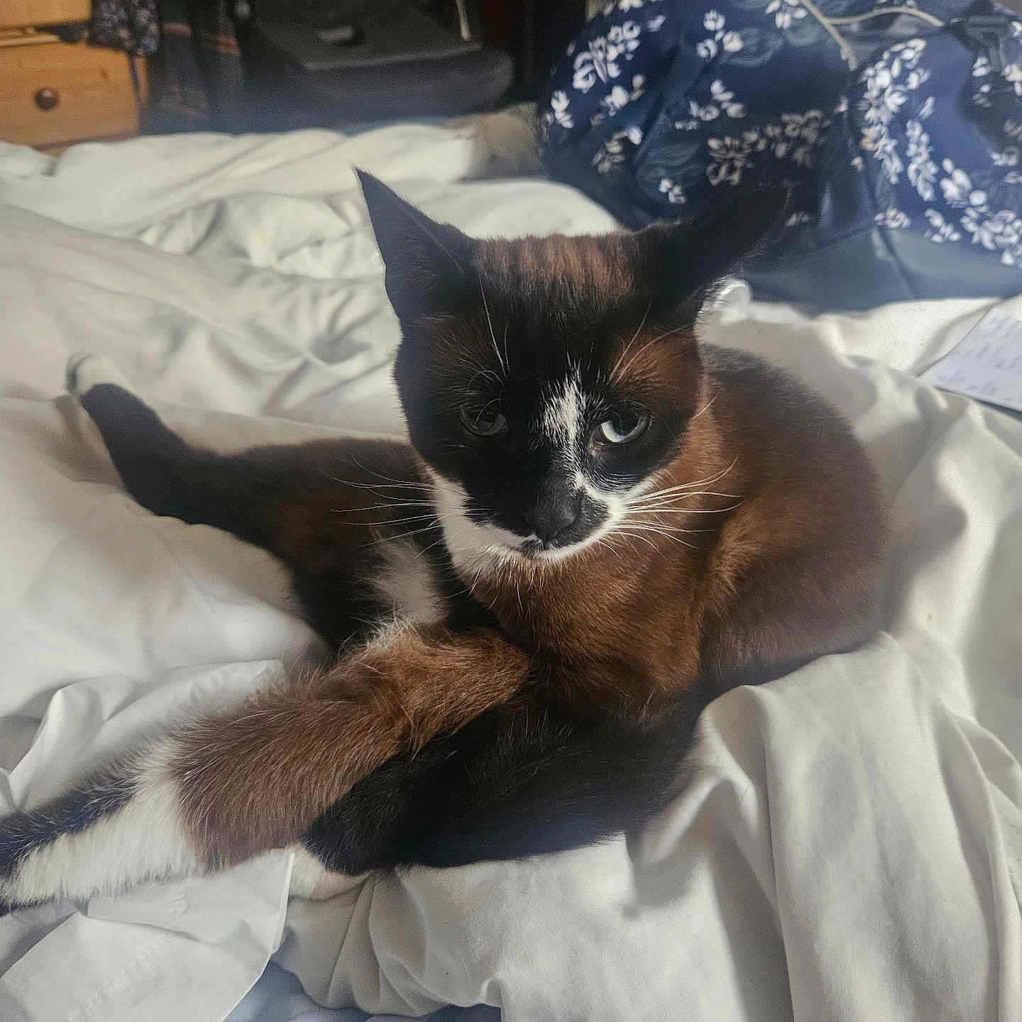 Milo