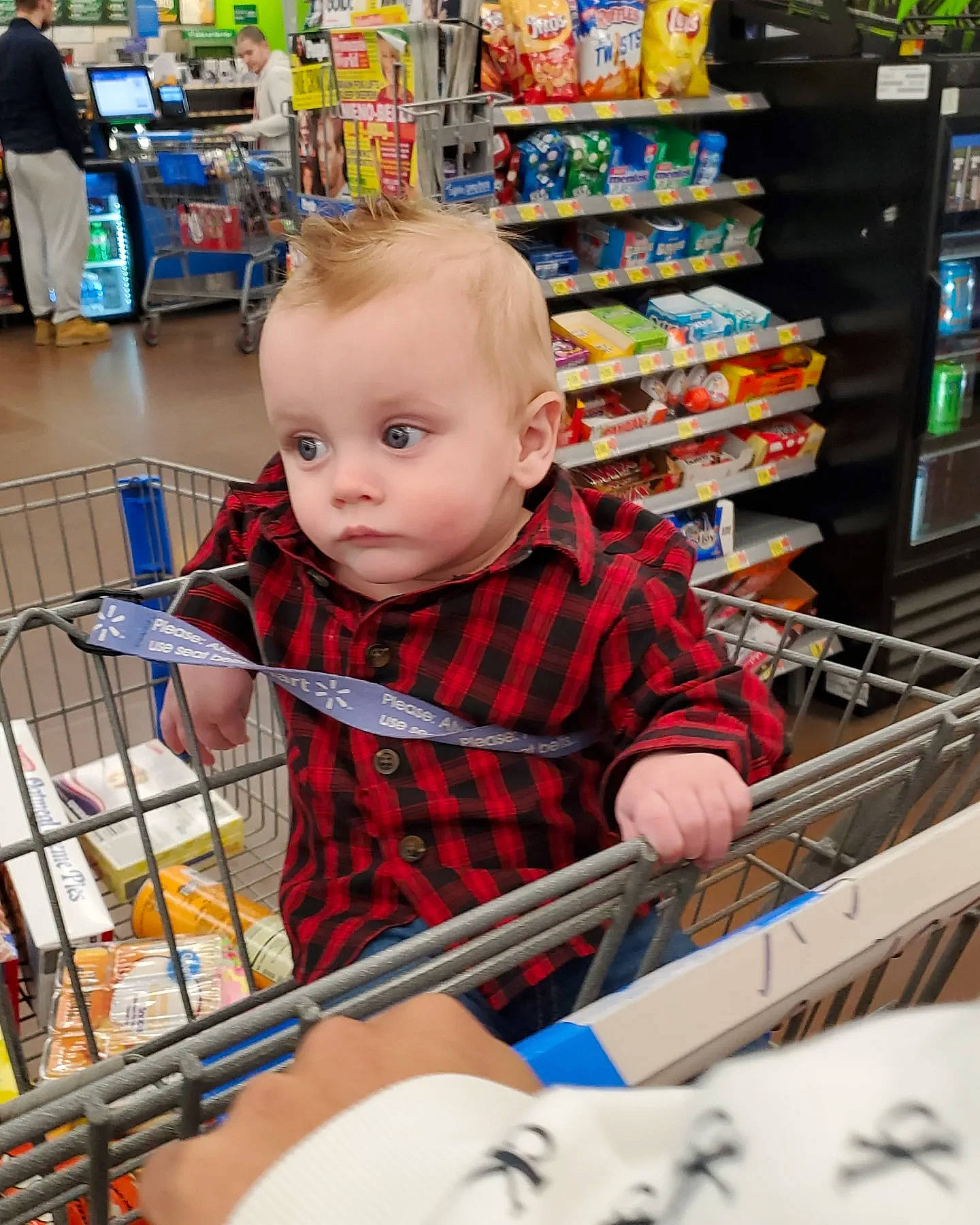 Sebastian joined the competition — help win amazing prizes! cart, child, convenience_store, customer, fun, grocery_store, market, person, photograph, product, publication, retail, service, shelf, shelving, shopping, shopping_cart, snapshot, standing, t_shirt