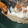 animal_figurines, animal_statues, cat, closeup, cozy, decor, domestic_cat, feline, green_couch, home_interior, indoor, knitted_blanket, orange_and_white_cat, patterned_throw, pet, relaxed, resting_cat, soft_textures, wooden_panther_figurine, wooden_tiger_figurine