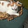 Axle
