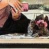 blanket, casual, checkered_shirt, cozy, cute, dog, fur, hand, home, indoor, lying_down, mirror, nail_art, person, pet, phone, pink_scrunchie, playful, puppy, reflection