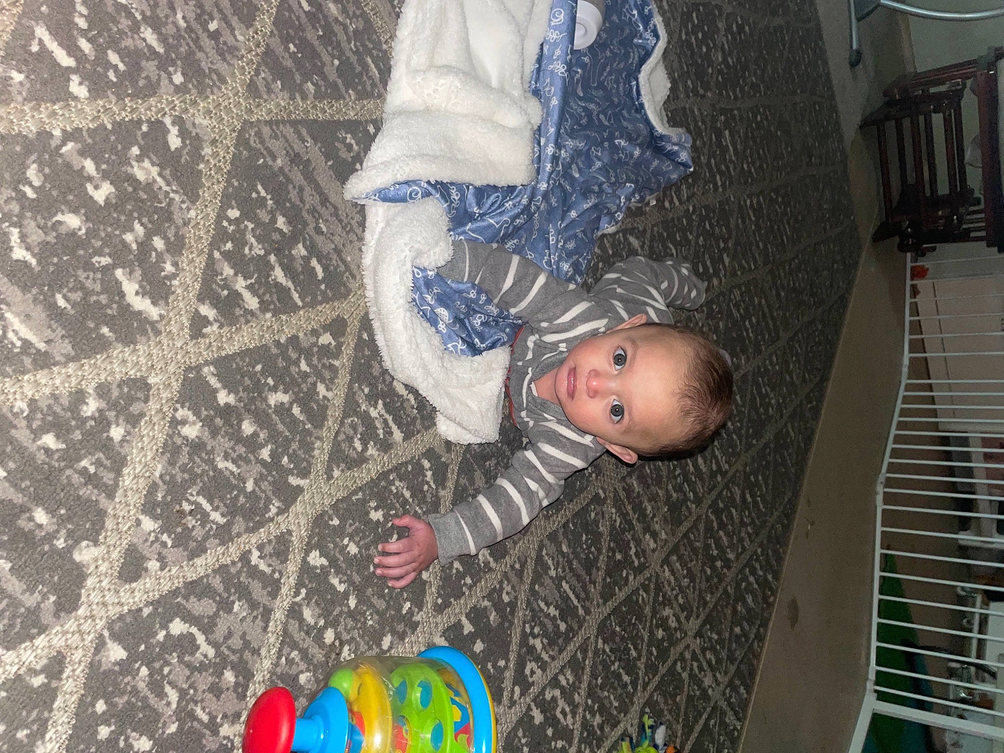 Bexley is registered to the contest to win money with this photo: baby, baby_products, baby_toddler_clothing, child, event, floor, flooring, fun, leisure, organ, pattern, person, product, room, sitting, toddler, toy, tree, winter, wood