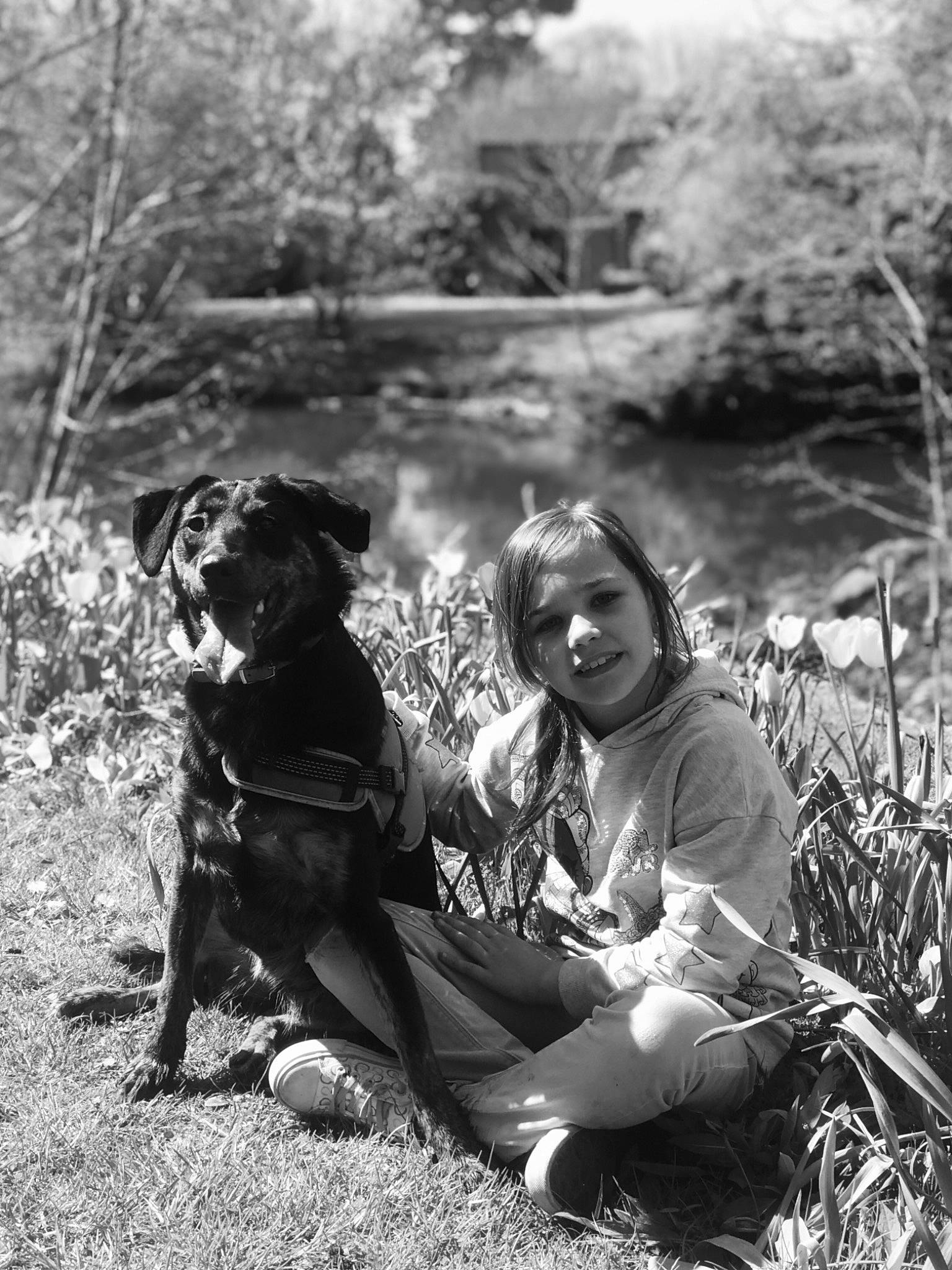 Raksha a rejoint le concours — aidez-le/la à gagner de superbes lots ! black_and_white, carnivore, companion_dog, dog, dog_breed, fawn, forest, grass, guard_dog, happy, monochrome, monochrome_photography, people_in_nature, plant, recreation, rock, sitting, stock_photography, style, tree