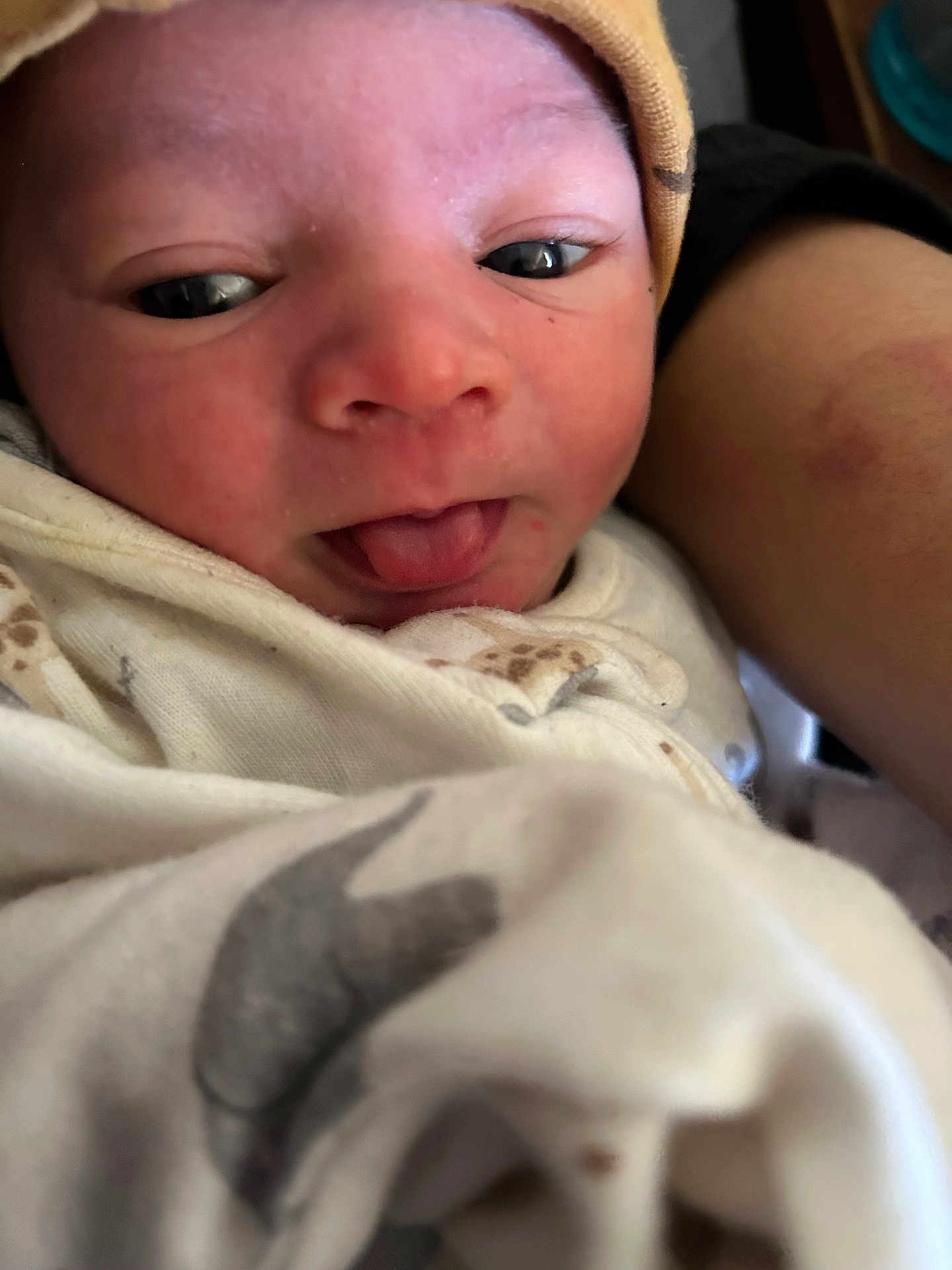 Kenan joined the competition — help win amazing prizes! baby, newborn, face, tongue, blanket, hat, clothing, person, skin, closeup, infant, cute, newborn_clothing, wrapped, comfort, human, expression, headwear, soft, warm
