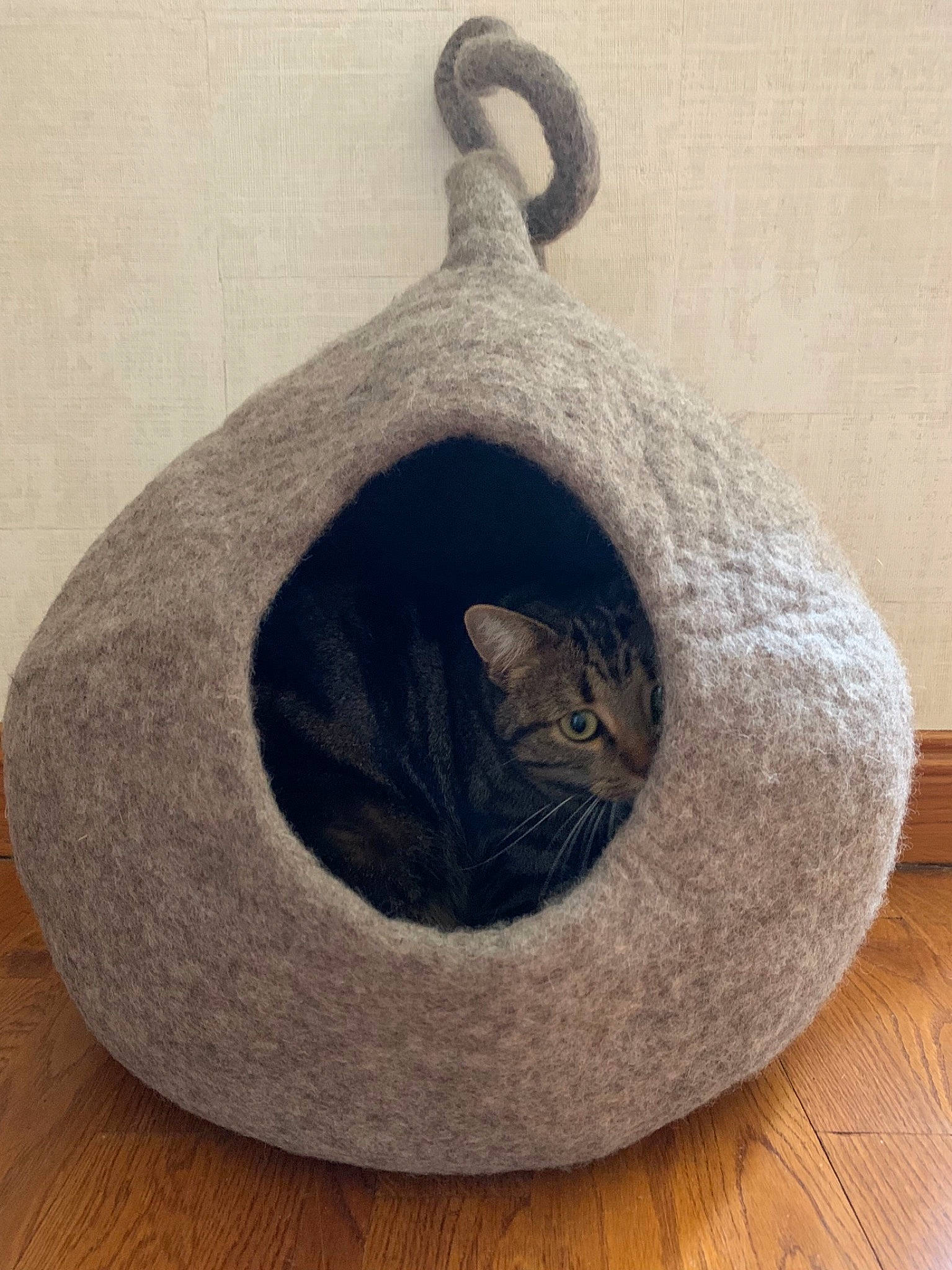 Lilly a rejoint le concours — aidez-le/la à gagner de superbes lots ! art, carnivore, cat, cat_bed, cat_supply, circle, creative_arts, fashion_accessory, felidae, grey, hardwood, jewellery, natural_material, ornament, oval, rectangle, small_to_medium_sized_cats, tail, wood, wool