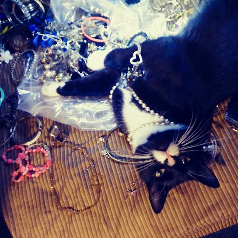 White Collar joined the competition — help win amazing prizes! cat, black_and_white_cat, jewelry, bracelets, necklaces, beads, striped_surface, curious, playful, indoor, pet, feline, accessories, closeup, animal, lying_down, decorative, shiny, messy, whiskers