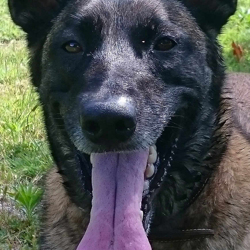Helka