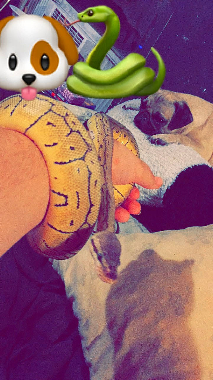 Jupiter is registered to the contest to win money with this photo: arm, art, fictional_character, illustration, supervillain