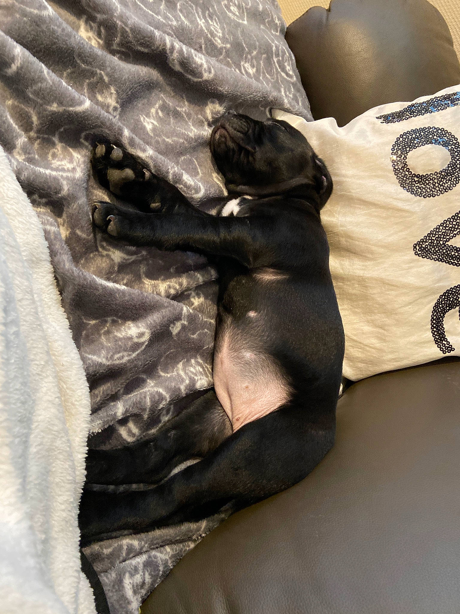 Roukia participe au concours pour gagner de l'argent avec cette photo : comfort, leg, linens, personal_protective_equipment, textile