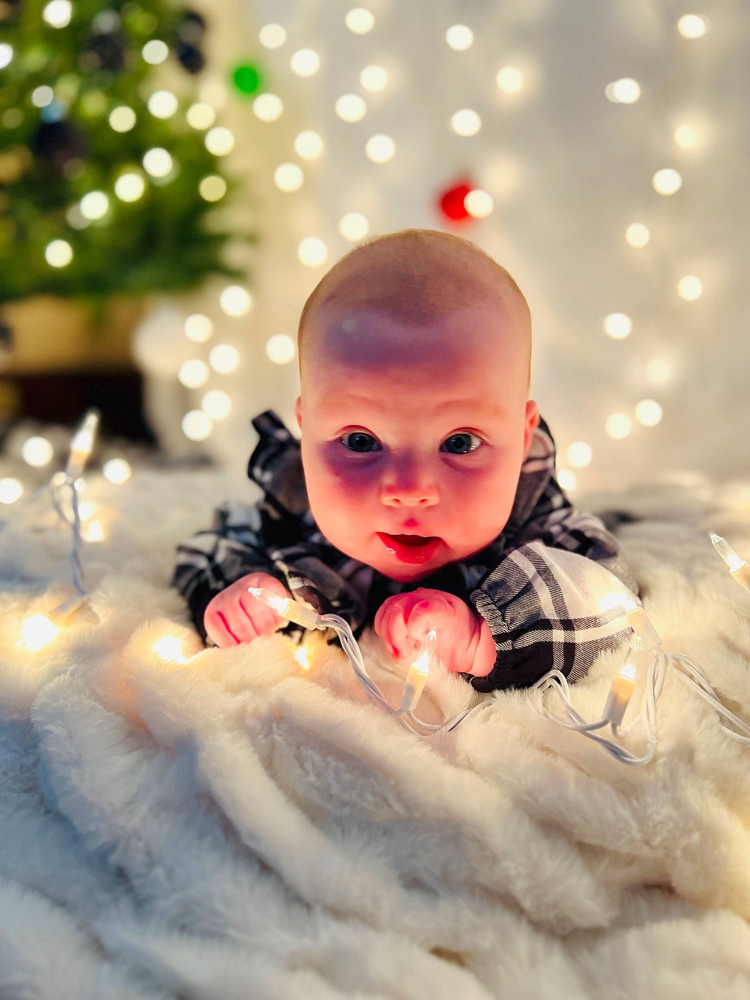 Haisley is registered to the contest to win money with this photo: baby, carmine, child, christmas_ornament, close_up, conifer, event, fictional_character, fir, flash_photography, fun, happy, human_body, ornament, people_in_nature, person, portrait_photography, sitting, toddler, tree