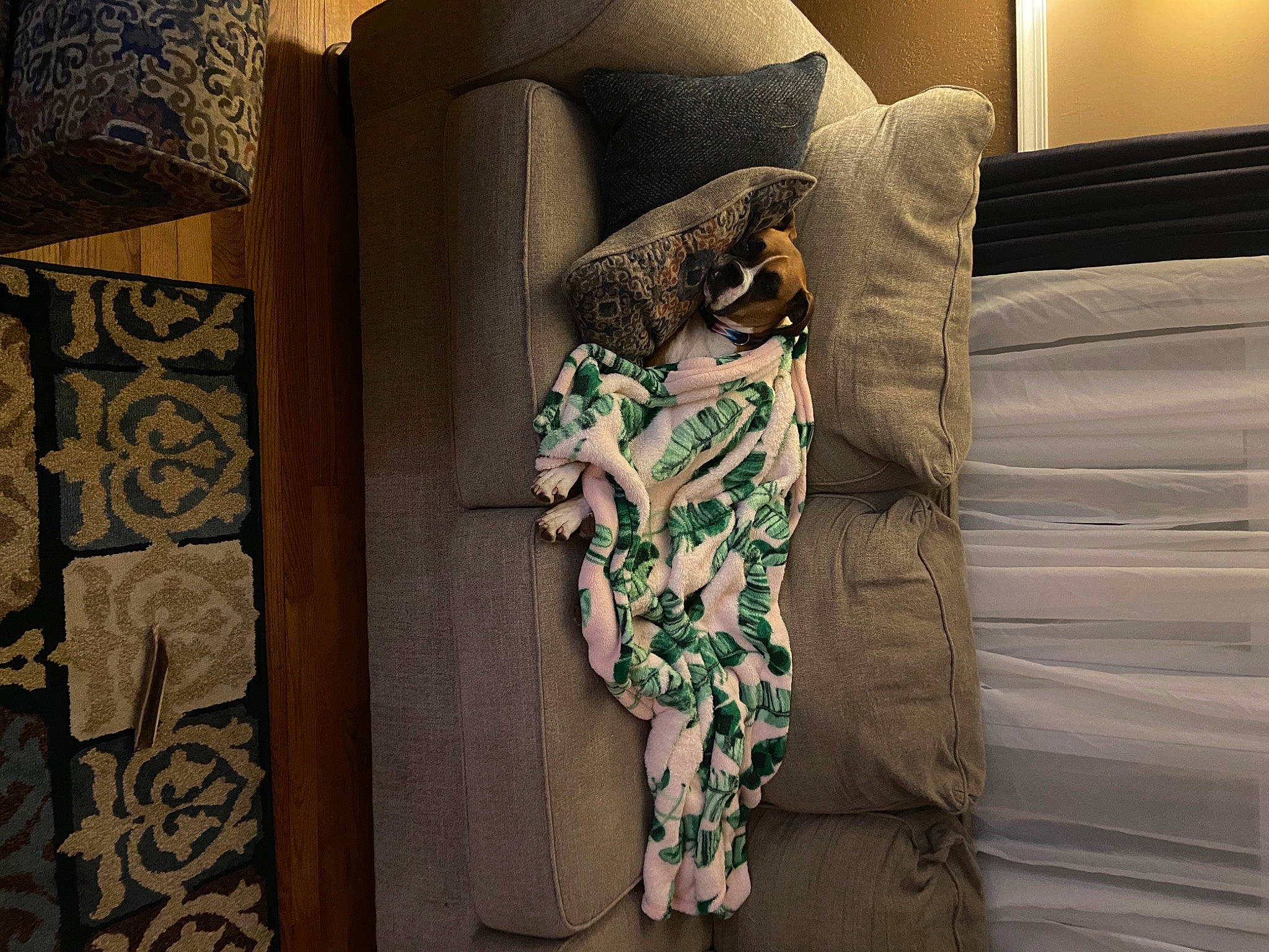 Lola is registered to the contest to win money with this photo: bed_sheet, bedding, bedroom, comfort, fashion_design, floor, flooring, fur, human_leg, interior_design, linens, pattern, room, sleeve, stuffed_toy, textile, thigh, tints_and_shades, visual_arts, wood