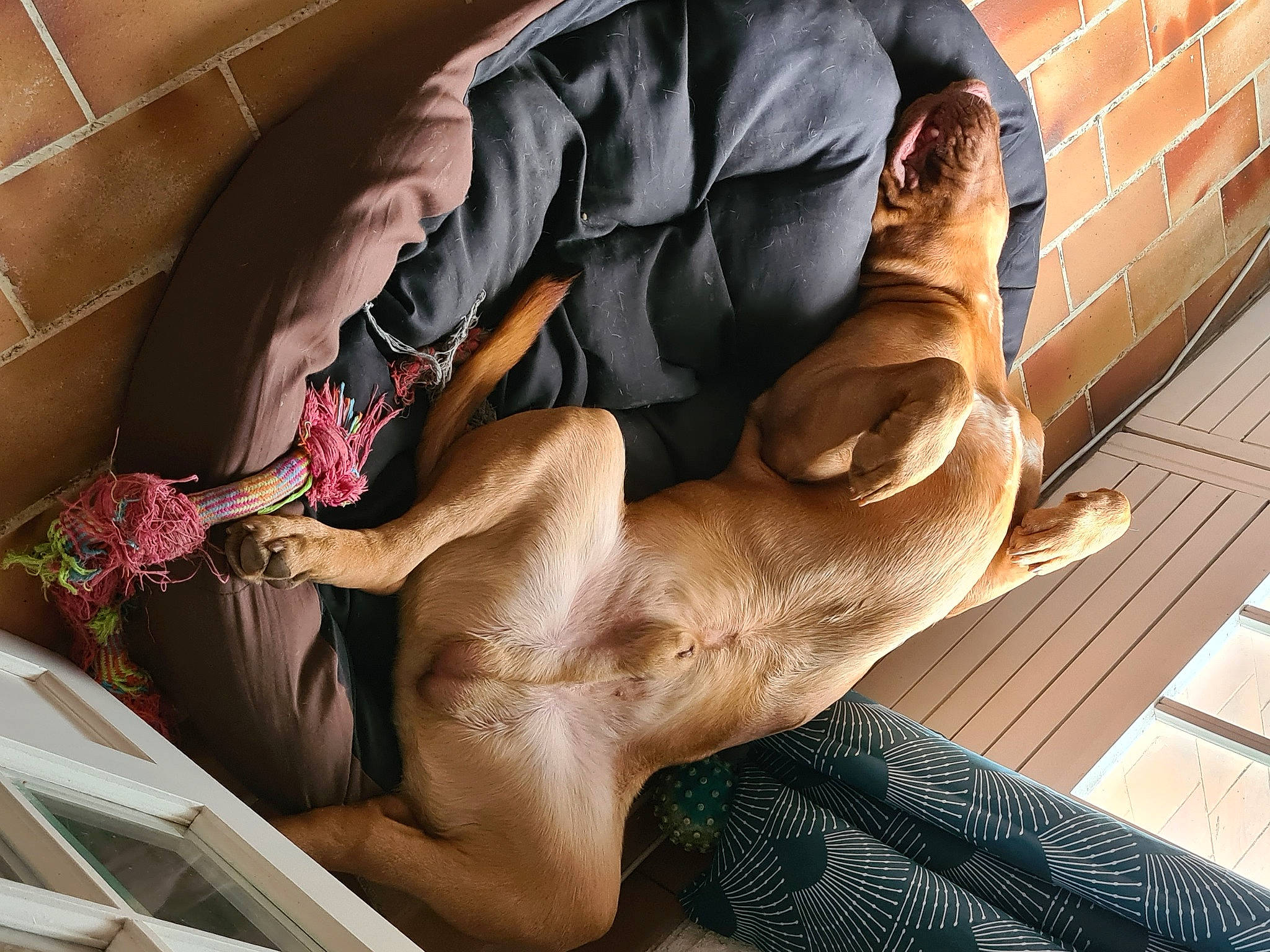 Raïden a rejoint le concours — aidez-le/la à gagner de superbes lots ! abdomen, art, barechested, barefoot, chest, comfort, dress, elbow, fawn, foot, human_leg, knee, leisure, mammal, sculpture, thigh, trunk, vertebrate, window, wood