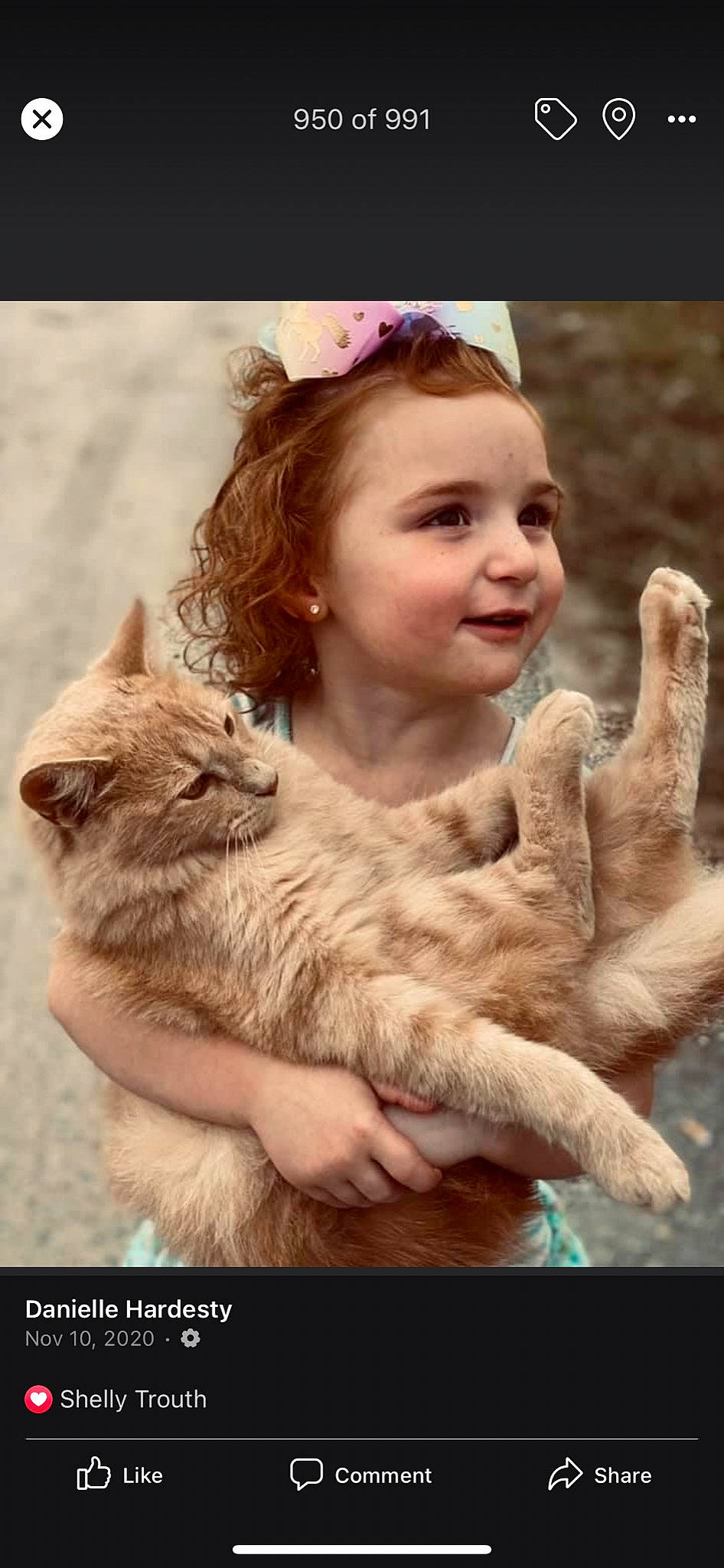 Madilynn is registered to the contest to win money with this photo: beauty, carnivore, cat, fawn, felidae, fur, gesture, grass, hand, happy, joy, mammal, paw, people_in_nature, person, skin, small_to_medium_sized_cats, smile, terrestrial_animal, toddler