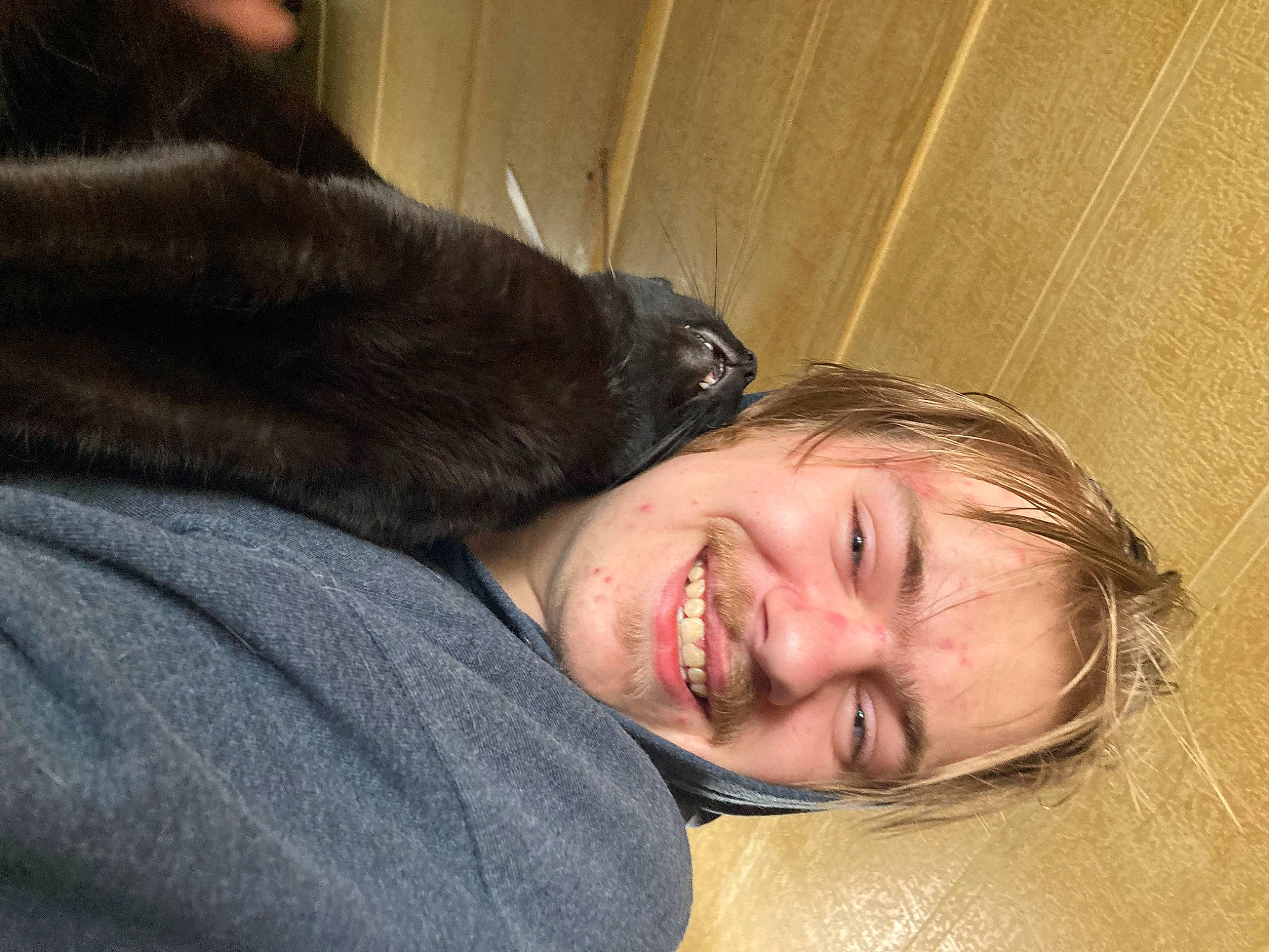 Slick joined the competition — help win amazing prizes! comfort, companion_dog, dog_breed, domestic_short_haired_cat, eye, flash_photography, fur, gesture, happy, head, human_leg, laugh, nap, nose, portrait_photography, sitting, sleep, smile, whiskers, wood