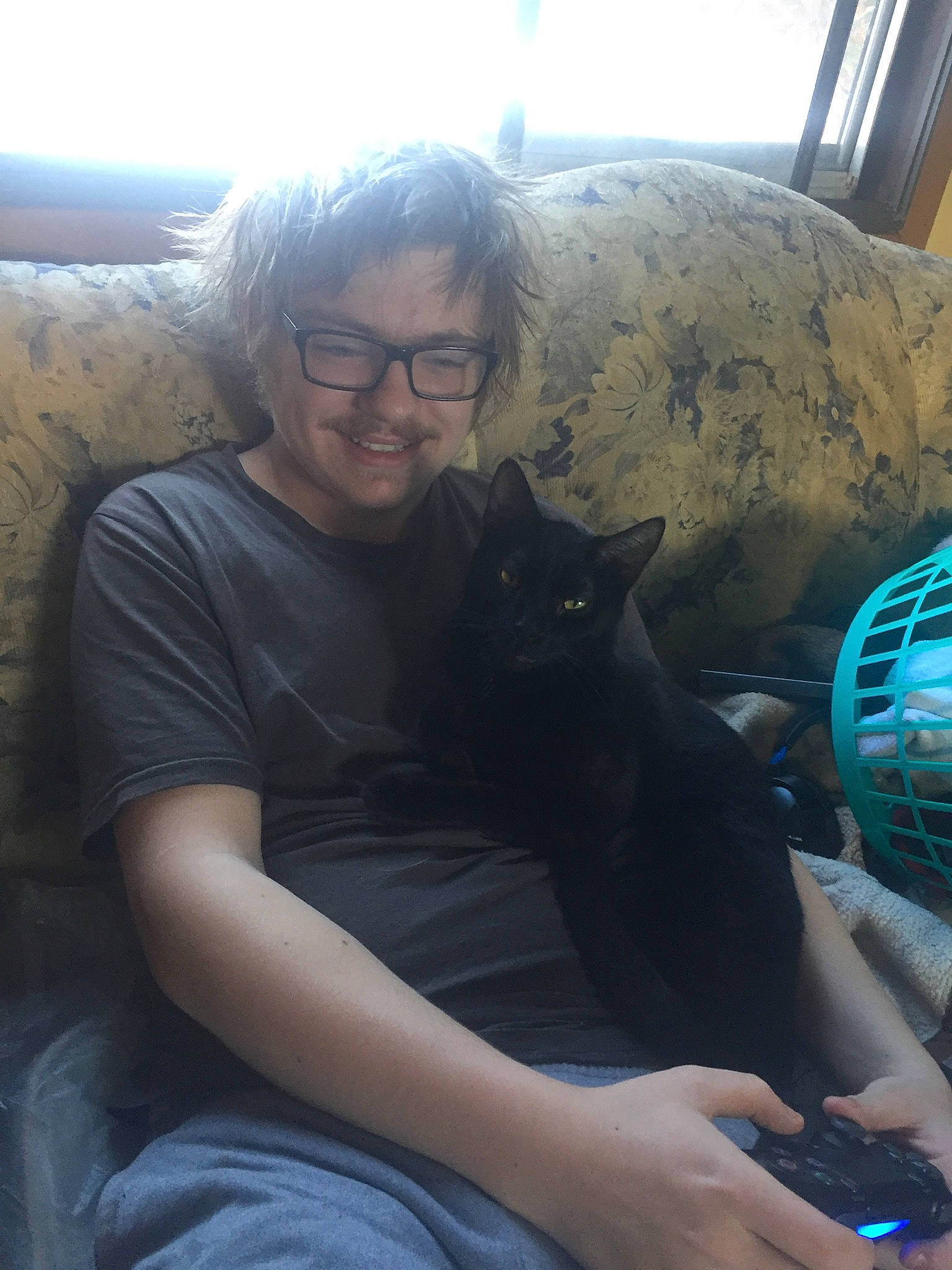 Slick joined the competition — help win amazing prizes! blue, carnivore, cat, comfort, cool, couch, electric_blue, eyewear, felidae, fun, lap, organ, sitting, small_to_medium_sized_cats, smile, t_shirt, thigh, vision_care, whiskers, window