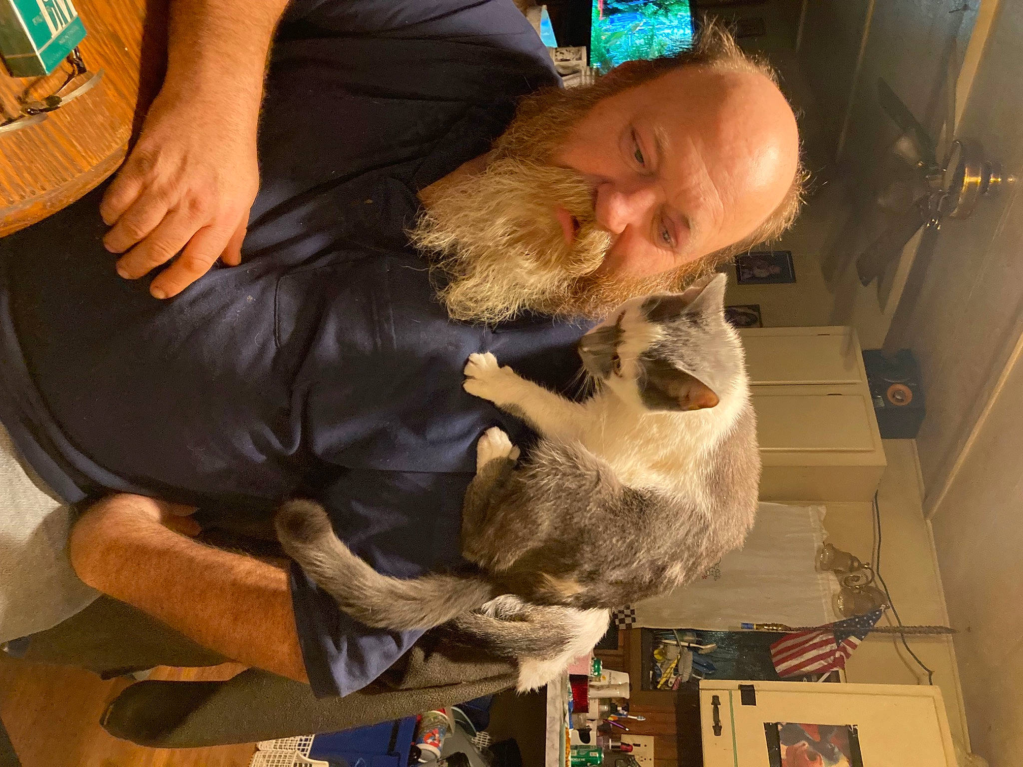 Freddy joined the competition — help win amazing prizes! beard, companion_dog, elbow, fun, fur, lap, sporting_group, thigh