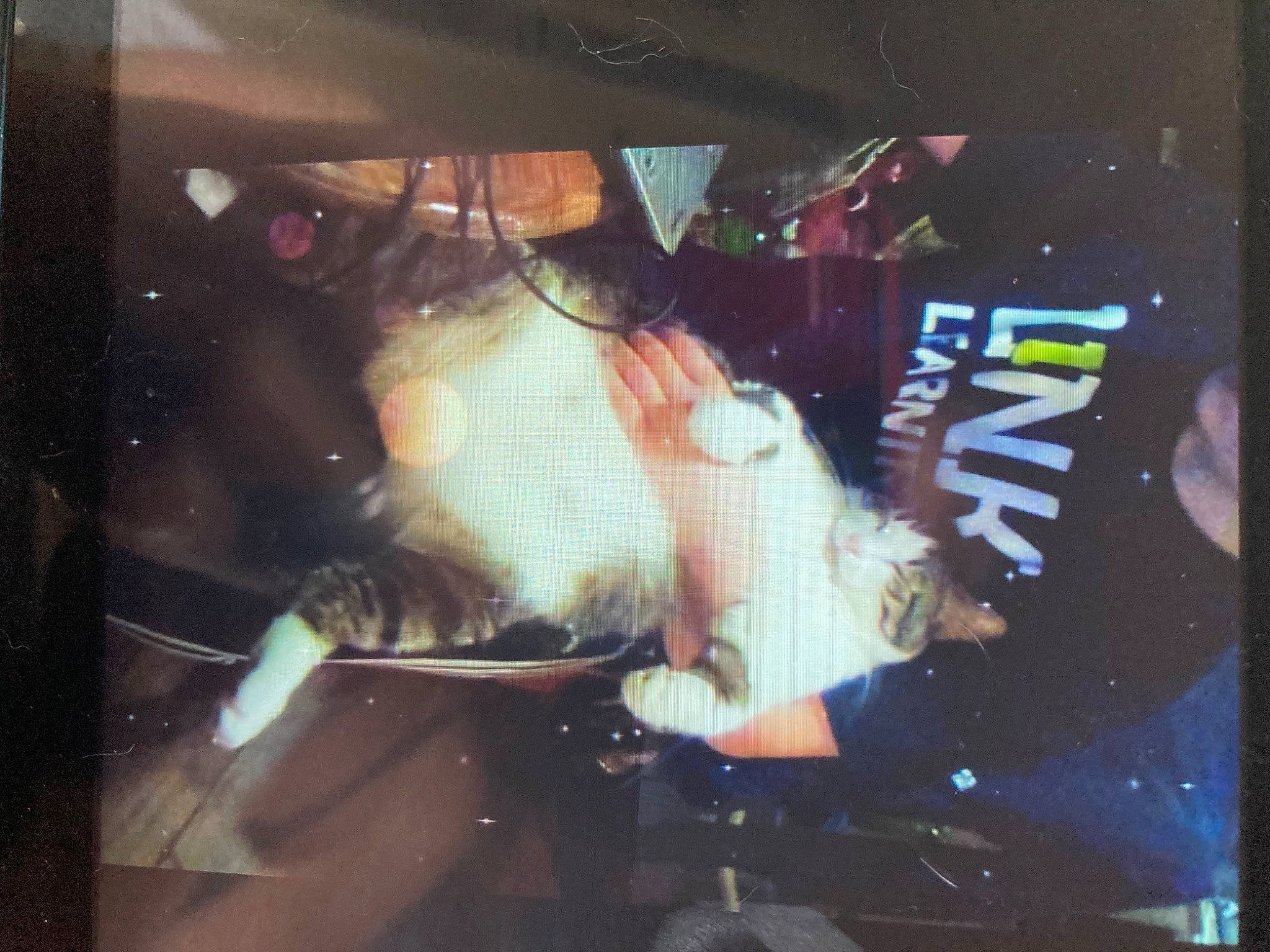 Toomer joined the competition — help win amazing prizes! artist, darkness, display_device, entertainment, event, flesh, fun, microphone, music, music_artist, music_venue, musical_instrument, musician, performance_art, performing_arts, pop_music, room, singer, space, visual_arts